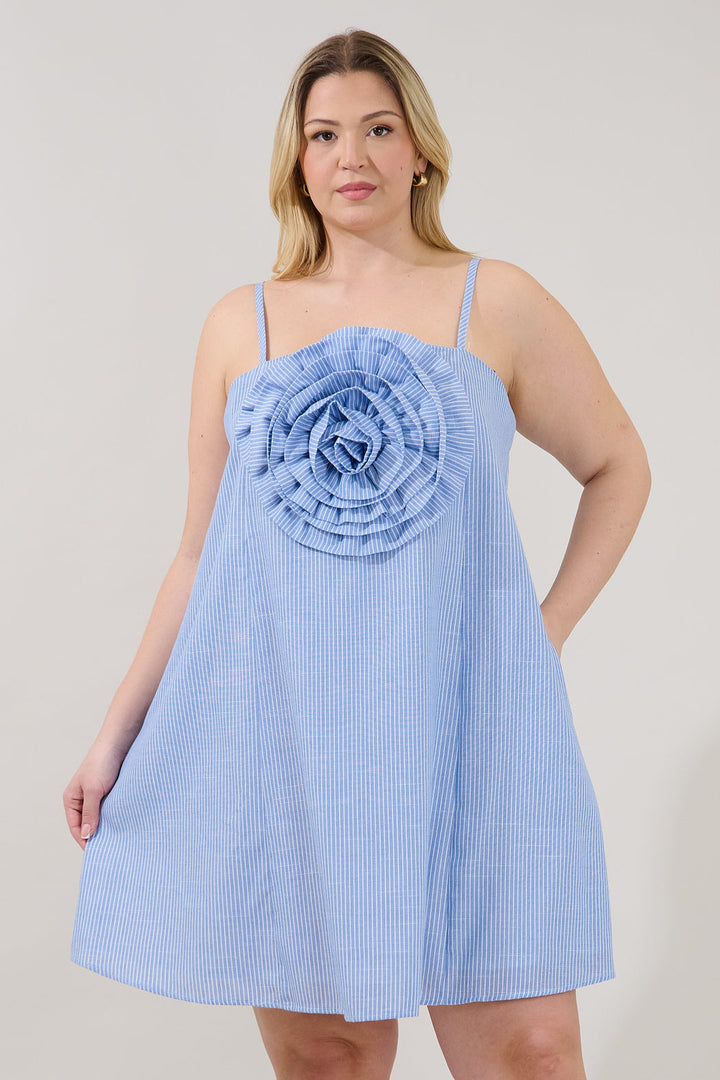 Raisley Rose Shift Mini Dress Stripe Curve