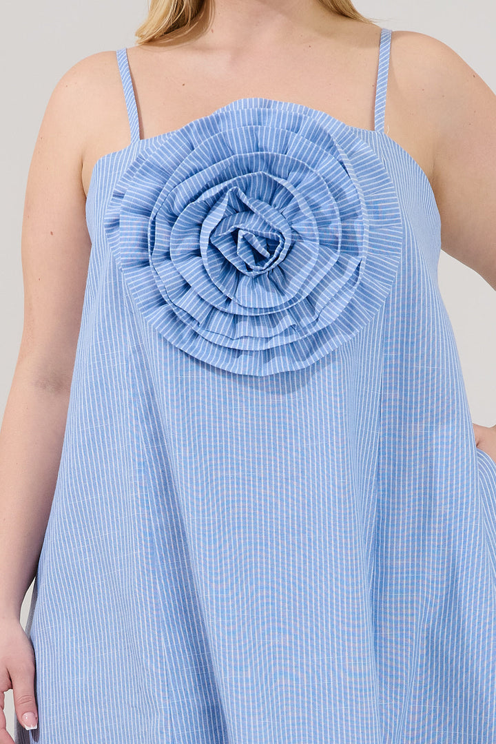 Raisley Rose Shift Mini Dress Stripe Curve
