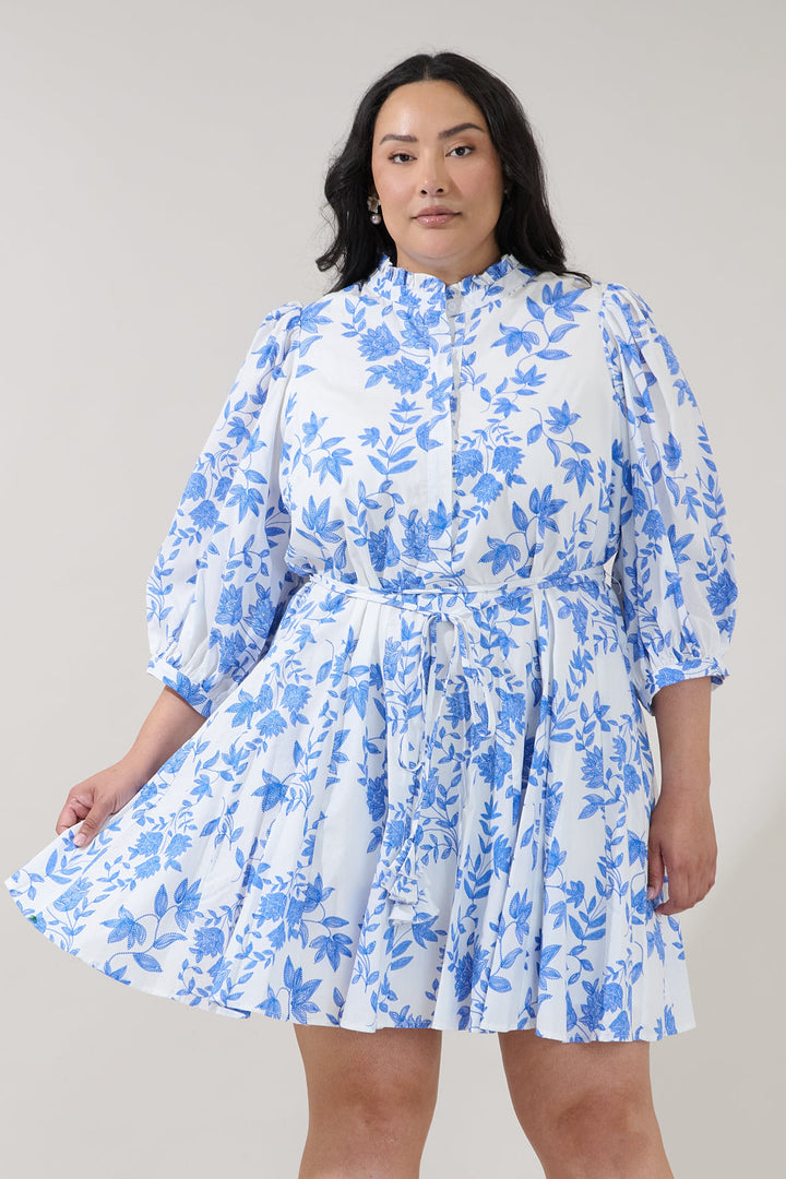 Nesta Mockneck Godet Dress Bluebell Curve