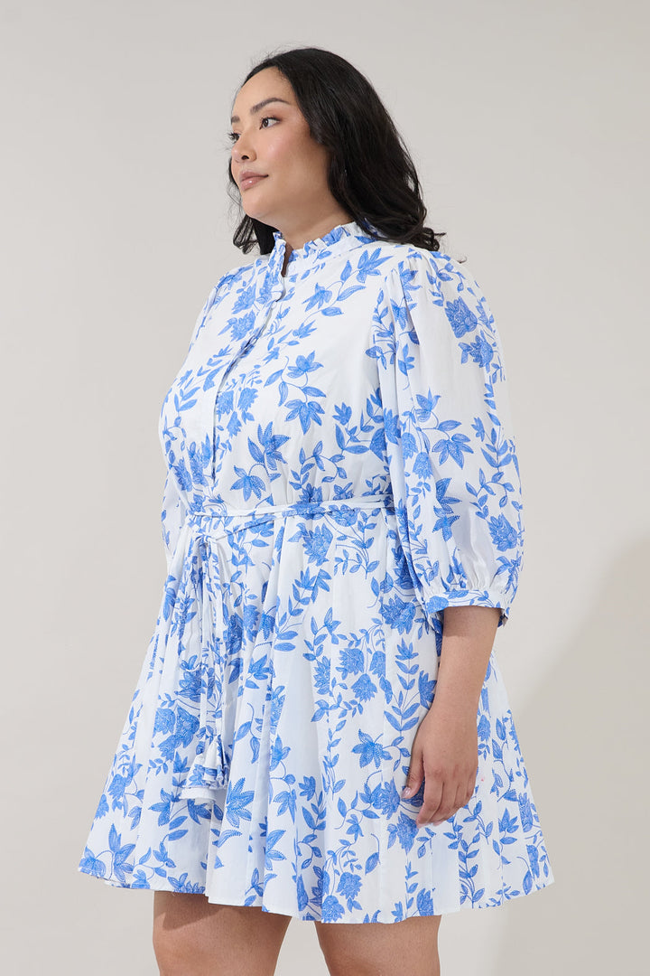 Nesta Mockneck Godet Dress Bluebell Curve