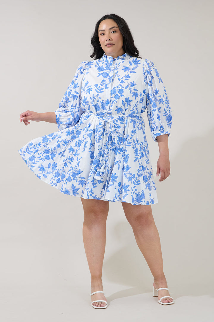 Nesta Mockneck Godet Dress Bluebell Curve