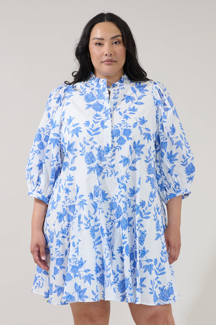 Nesta Mockneck Godet Dress Bluebell Curve