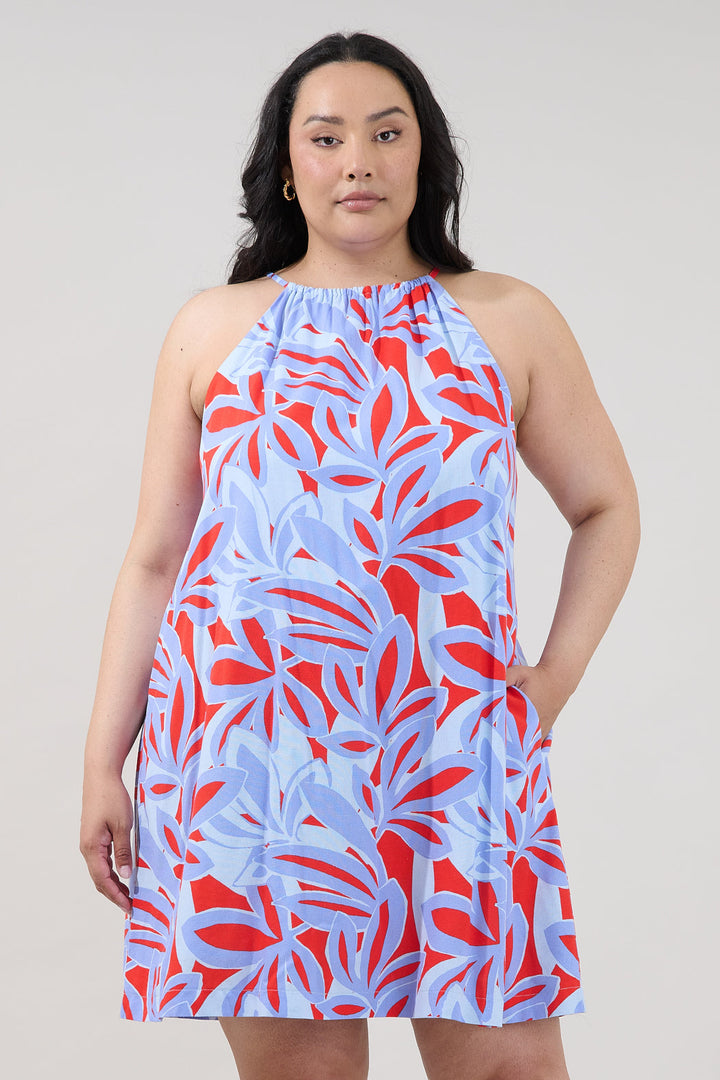 Haity Shift Mini Dress Areca Curve