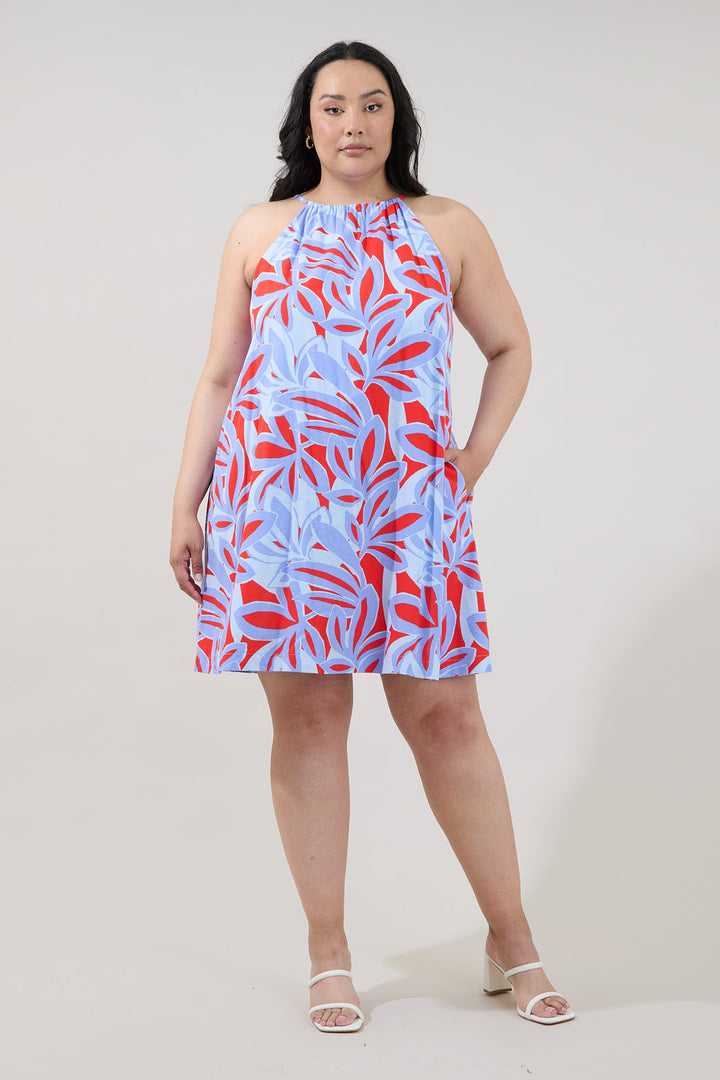 Haity Shift Mini Dress Areca Curve