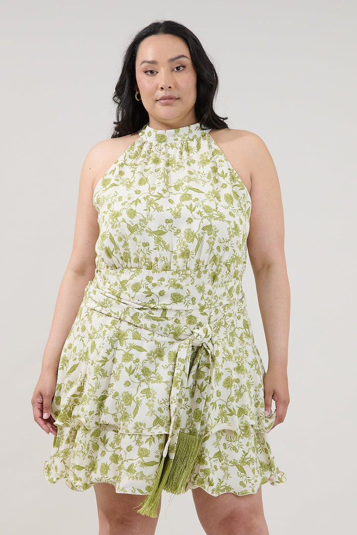 Mariena Ruffle Mini Dress Floral Curve
