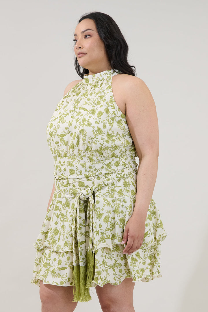 Mariena Ruffle Mini Dress Floral Curve