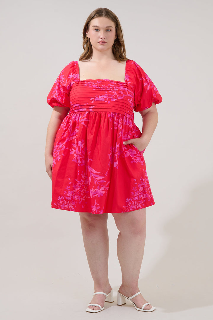 Pleated Mini Dress Primrose Curve