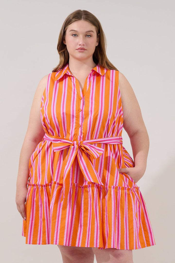 Zady Sleeveless Mini Dress Candy Stripe Curve
