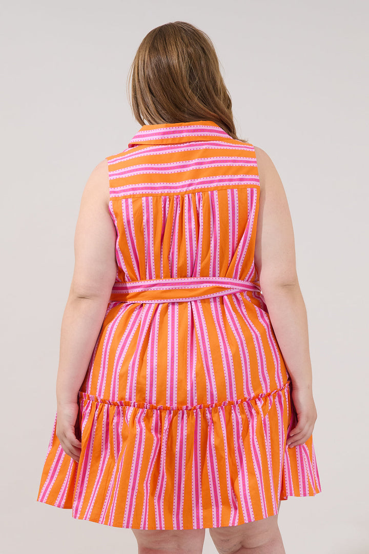 Zady Sleeveless Mini Dress Candy Stripe Curve