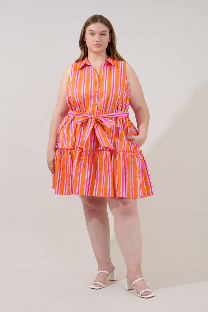 Zady Sleeveless Mini Dress Candy Stripe Curve