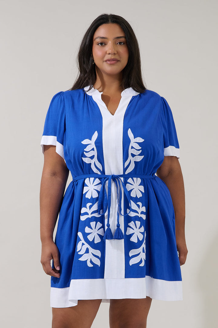 Patras Contrast Mini Dress Curve