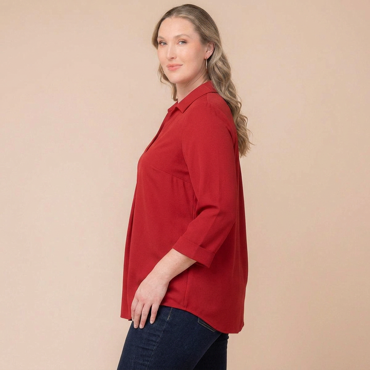 Natasha Collared V-Neck Tunic Top